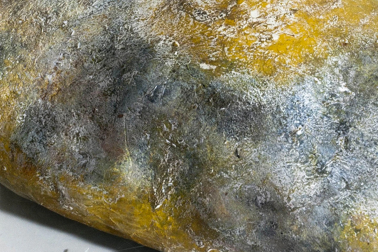 El ámbar gris, esencia de la alta perfumería