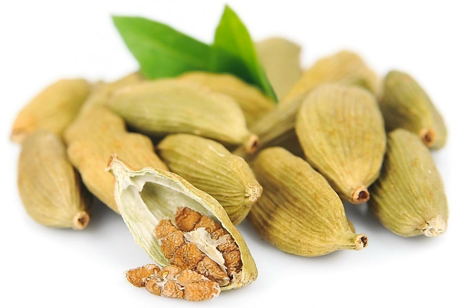 El Cardamomo