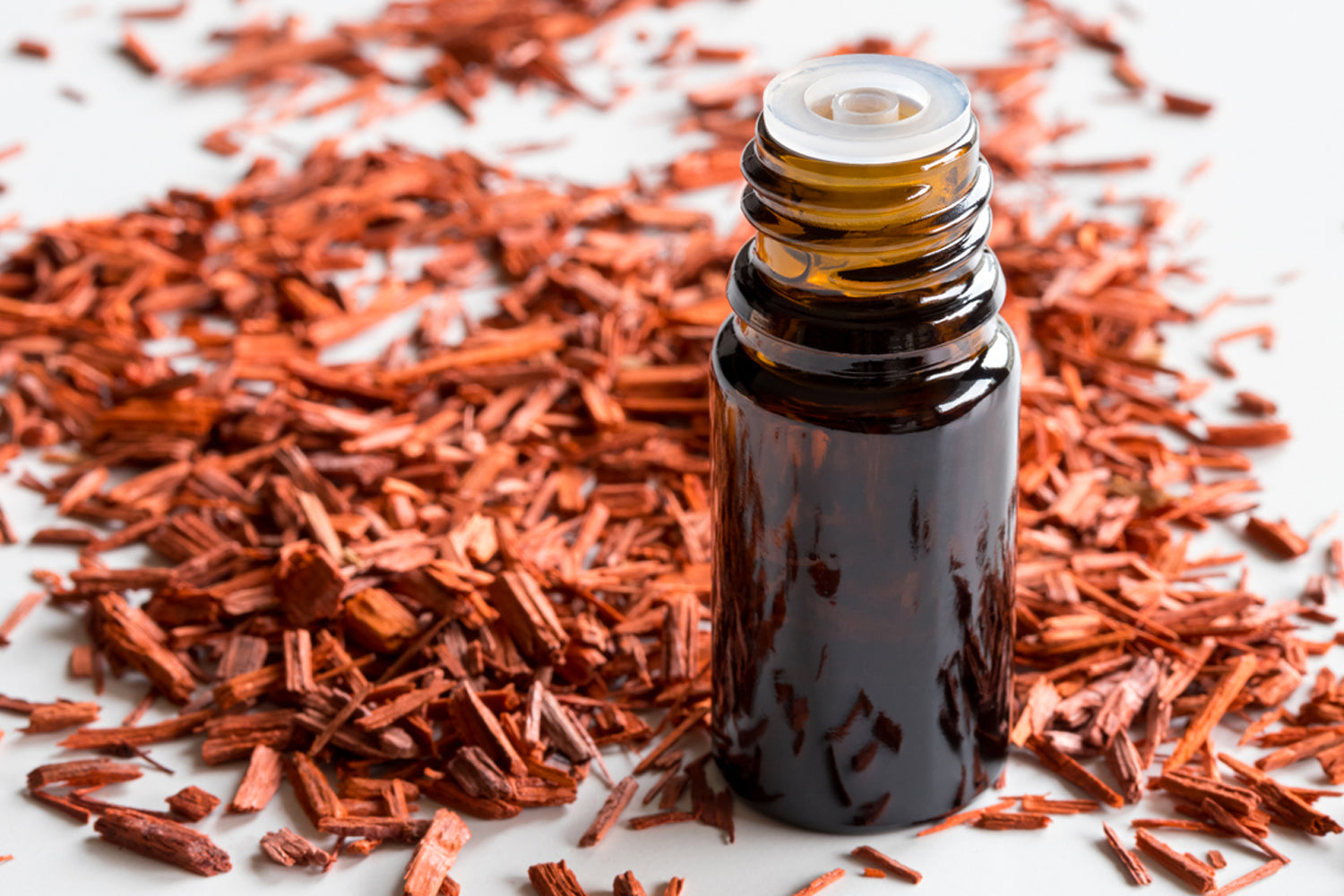 El sándalo, aroma de maderas de la India