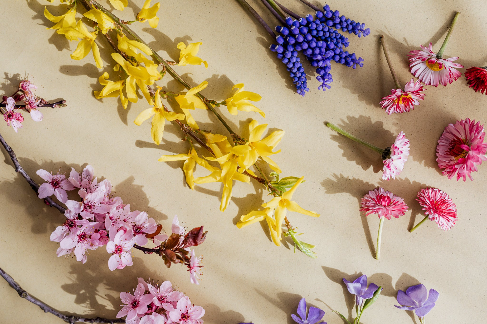 El perfume que te hará sentir la primavera