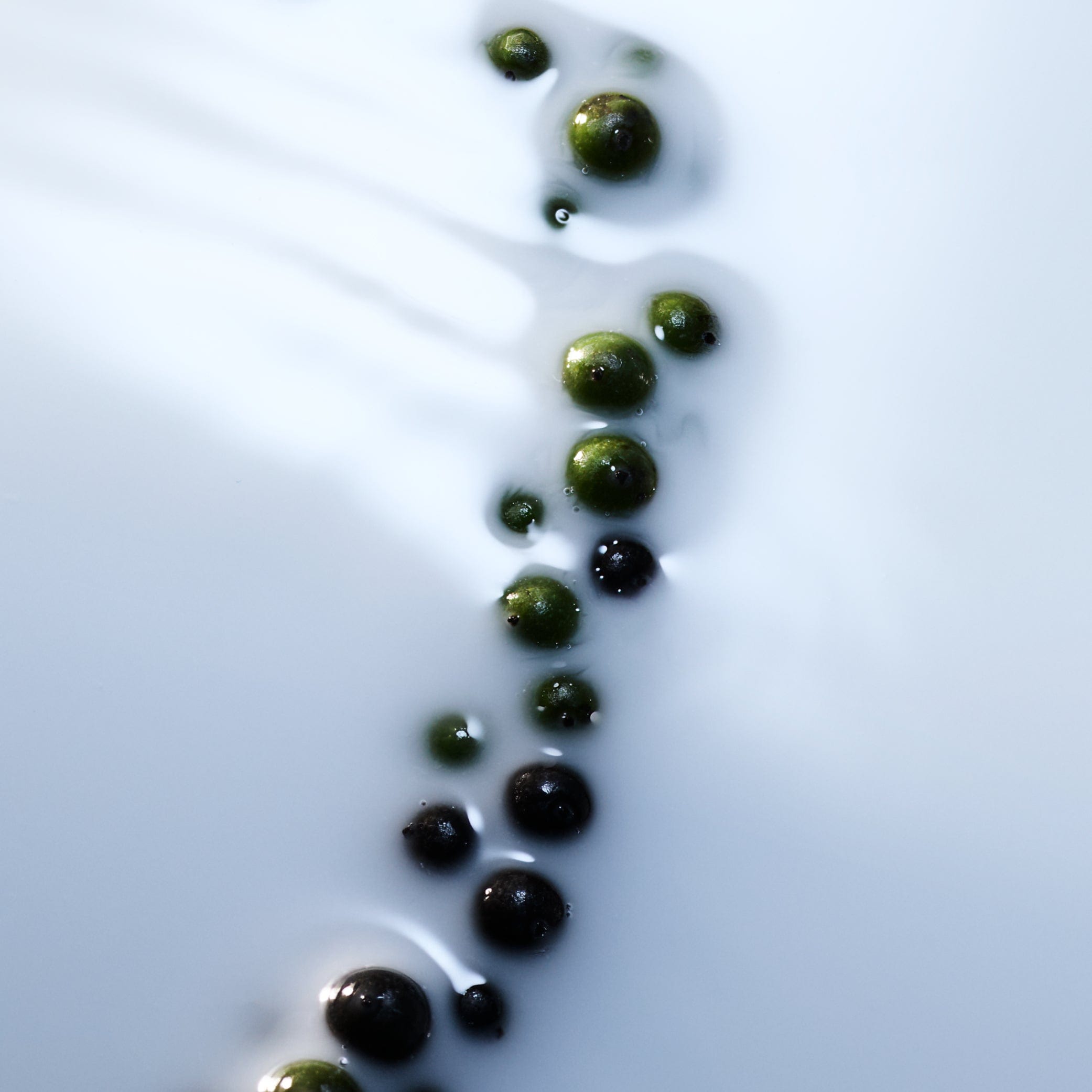 Blanche BYREDO Absolu Parfum - ABANUC