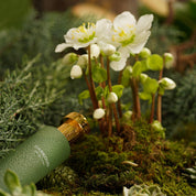 DARKOUD HERMETICA Eau de Parfum - ABANUC