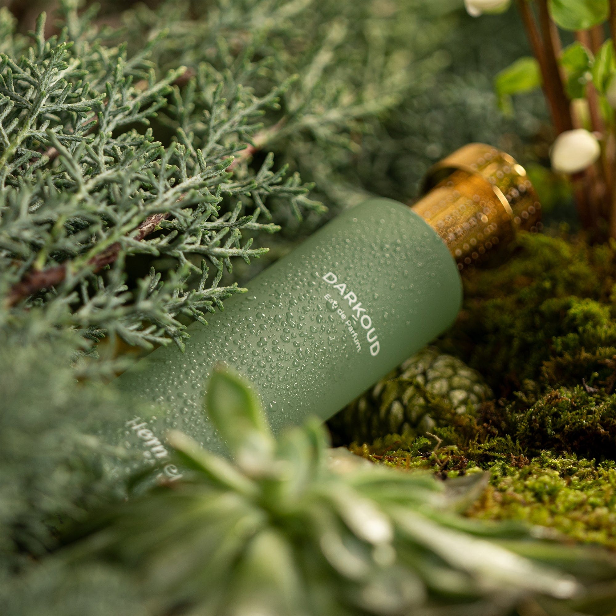 DARKOUD HERMETICA Eau de Parfum - ABANUC