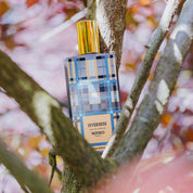 Inverness Memo Paris Eau de Parfum - ABANUC