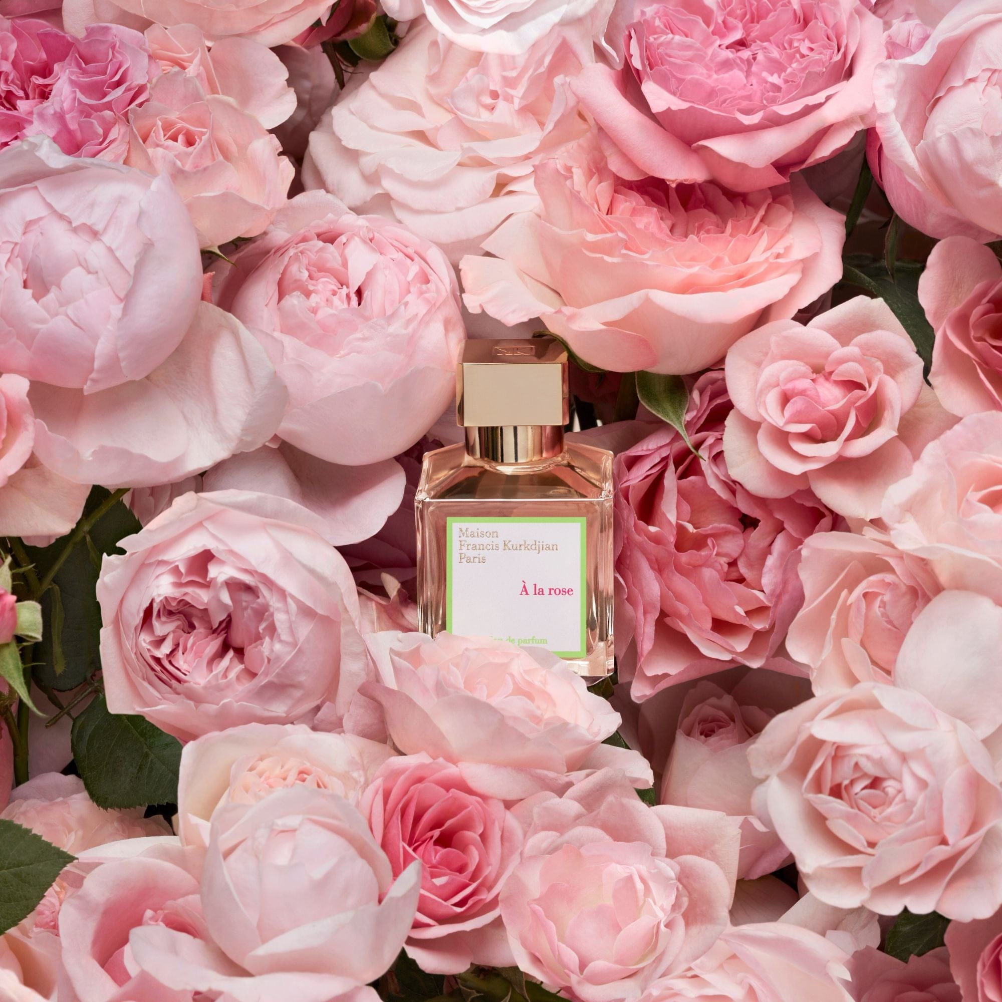 À la rose Maison Francis Kurkdjian Eau de Parfum - ABANUC