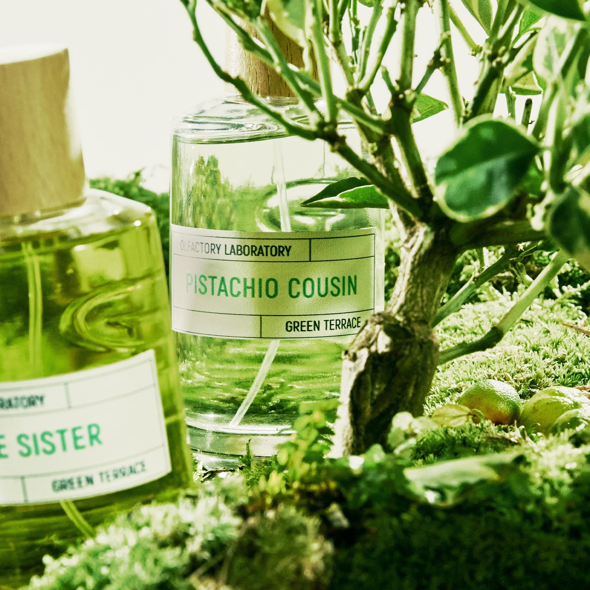 Pistachio Cousin LIQUIDES IMAGINAIRES Eau de parfum - ABANUC