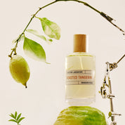 Roasted Tangerine LIQUIDES IMAGINAIRES Eau de parfum - ABANUC