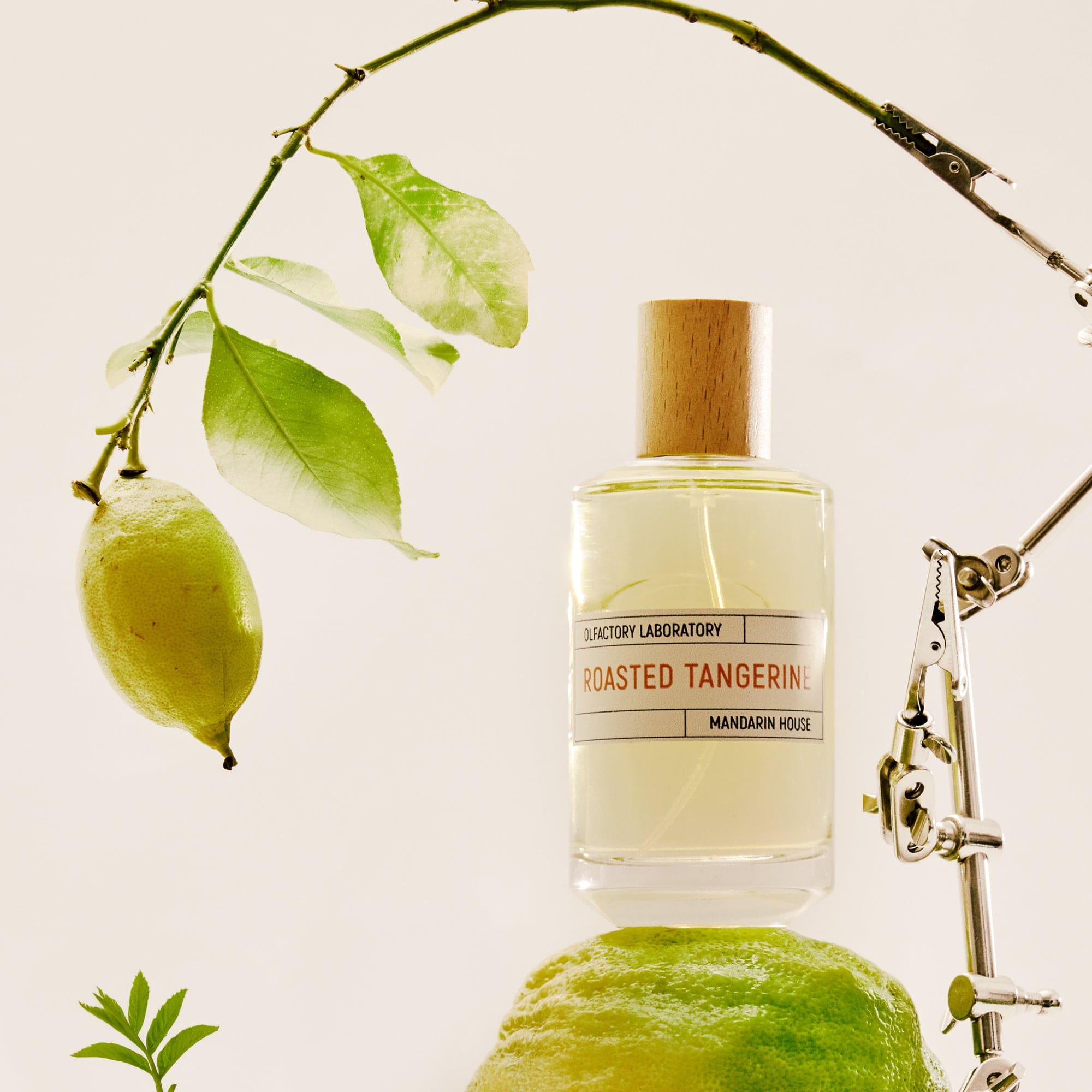 Roasted Tangerine LIQUIDES IMAGINAIRES Eau de parfum - ABANUC