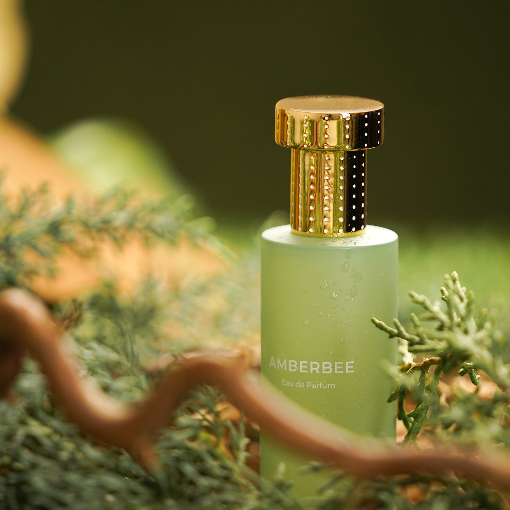 AMBERBEE HERMETICA Eau de Parfum - ABANUC