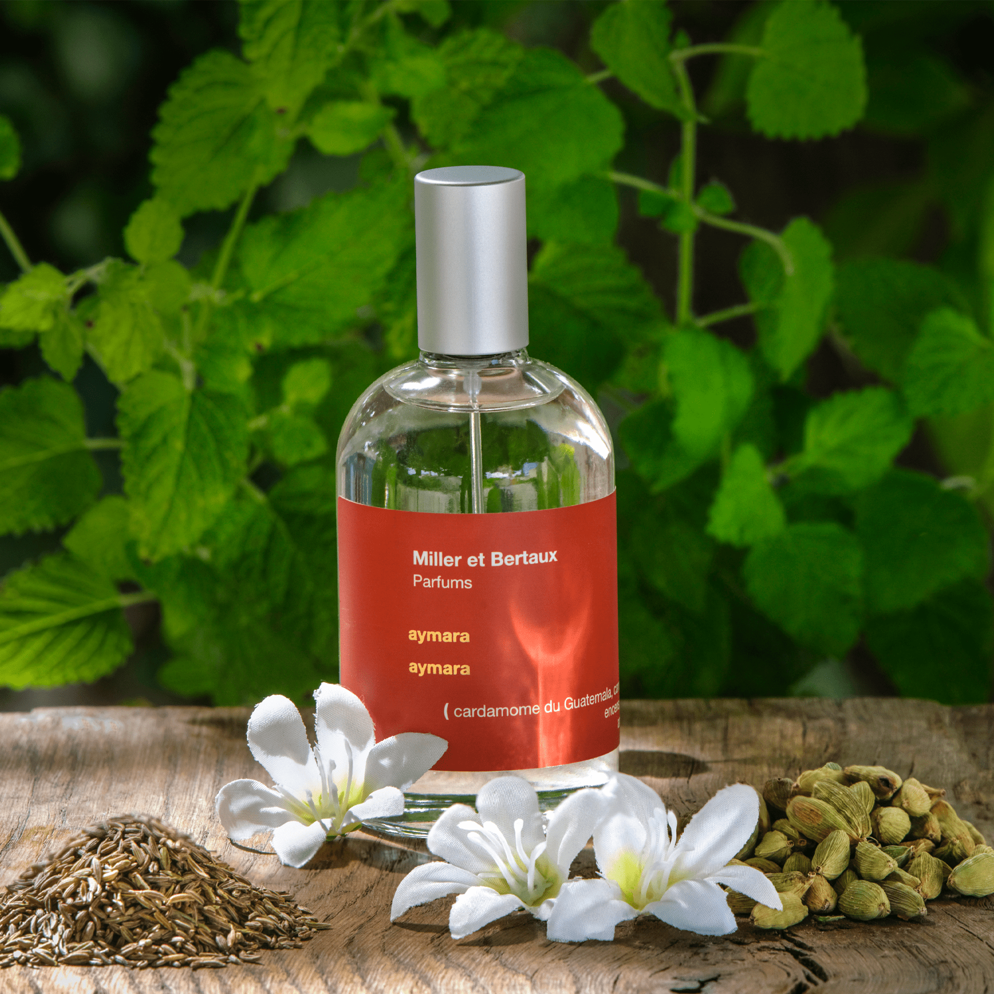 Aymara Miller et Bertaux Eau de Parfum - ABANUC
