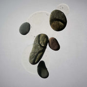 Tansa Colour Depth Shampoo ABHATI Champú para el color - ABANUC