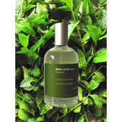 Menta y menta  Miller et Bertaux Eau de Parfum - ABANUC