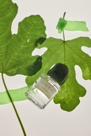 I Fig You <tc>Fascent</tc> Eau de parfum