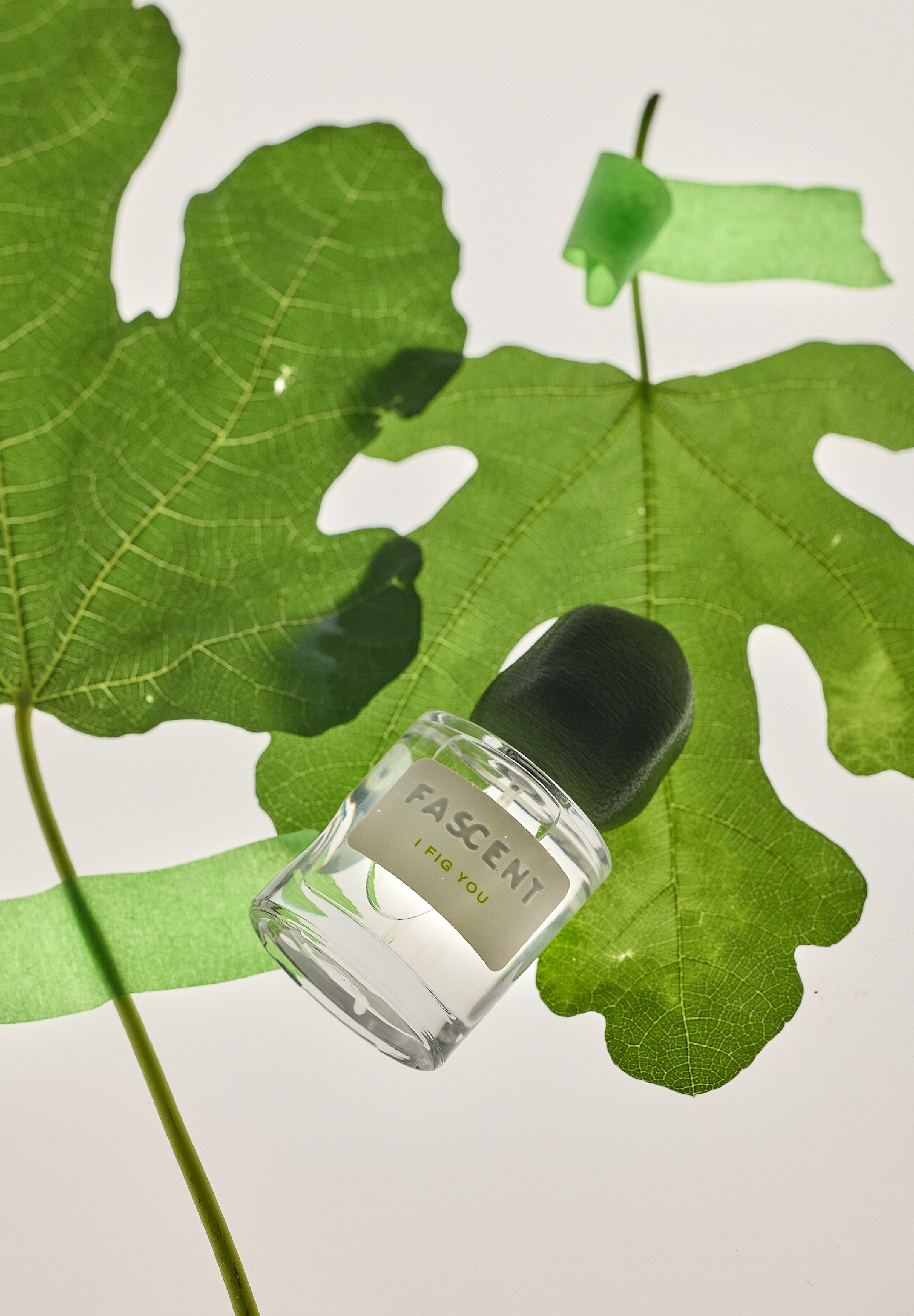 I Fig You Fascent Eau de parfum