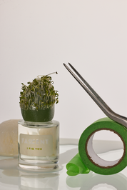 I Fig You <tc>Fascent</tc> Eau de parfum
