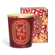 Délice by DIPTYQUE Limited edition scented candle