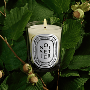 Noisetier Vela perfumada |  Diptyque - ABANUC