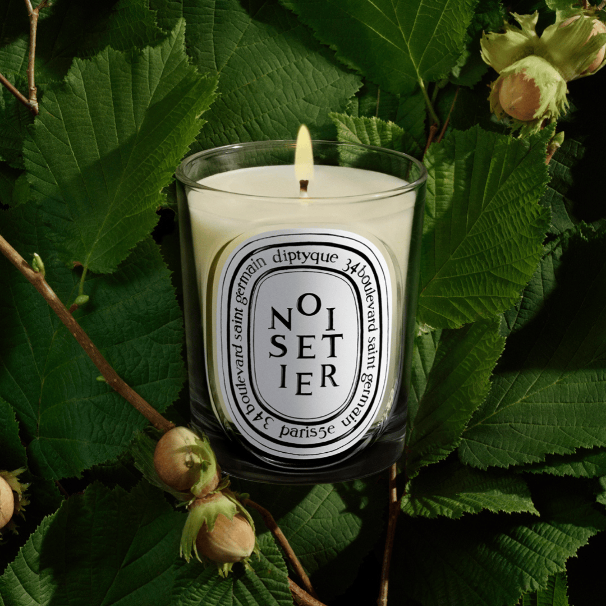 Noisetier Vela perfumada |  Diptyque - ABANUC
