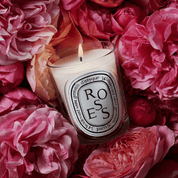 Roses Vela Perfumada | Diptyque - ABANUC