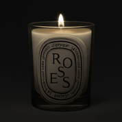 Roses Vela Perfumada | Diptyque - ABANUC