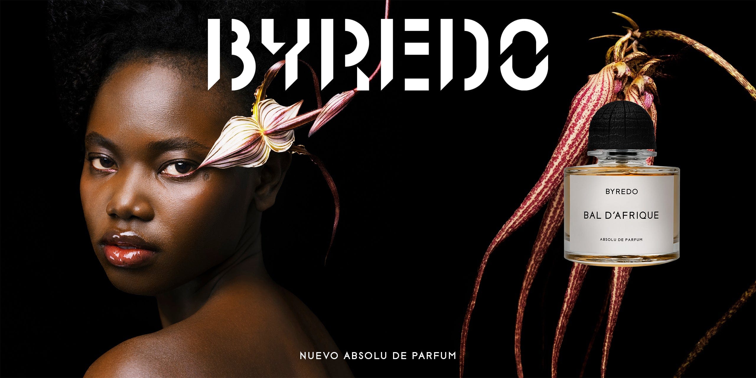 Abanuc_BYD_BDA_2560x1280px.jpg