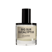 Big Sur Eucalyptus Eau de Parfum | D.S. & Durga