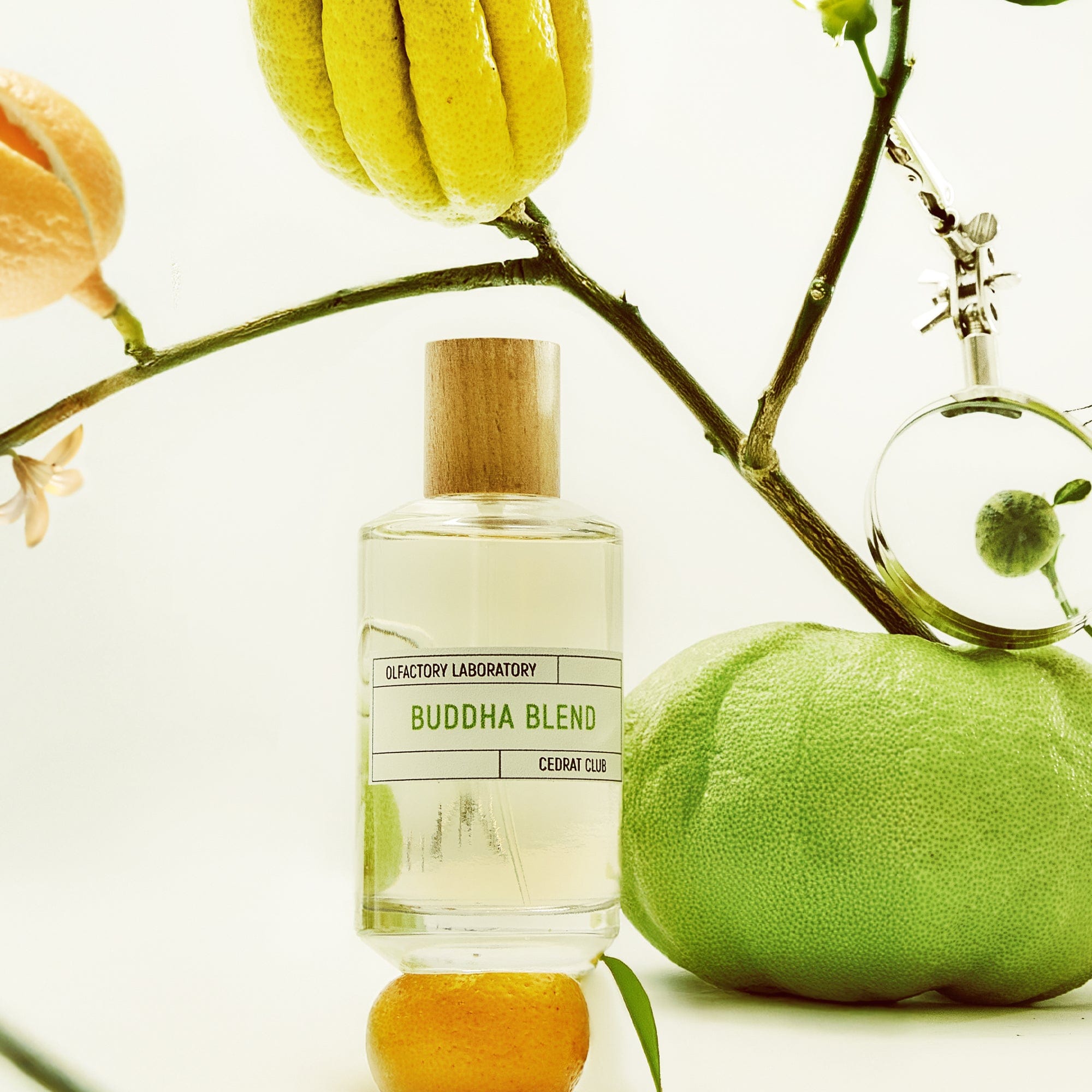 Buddha Blend Eau de Parfum | Liquides Imaginaires