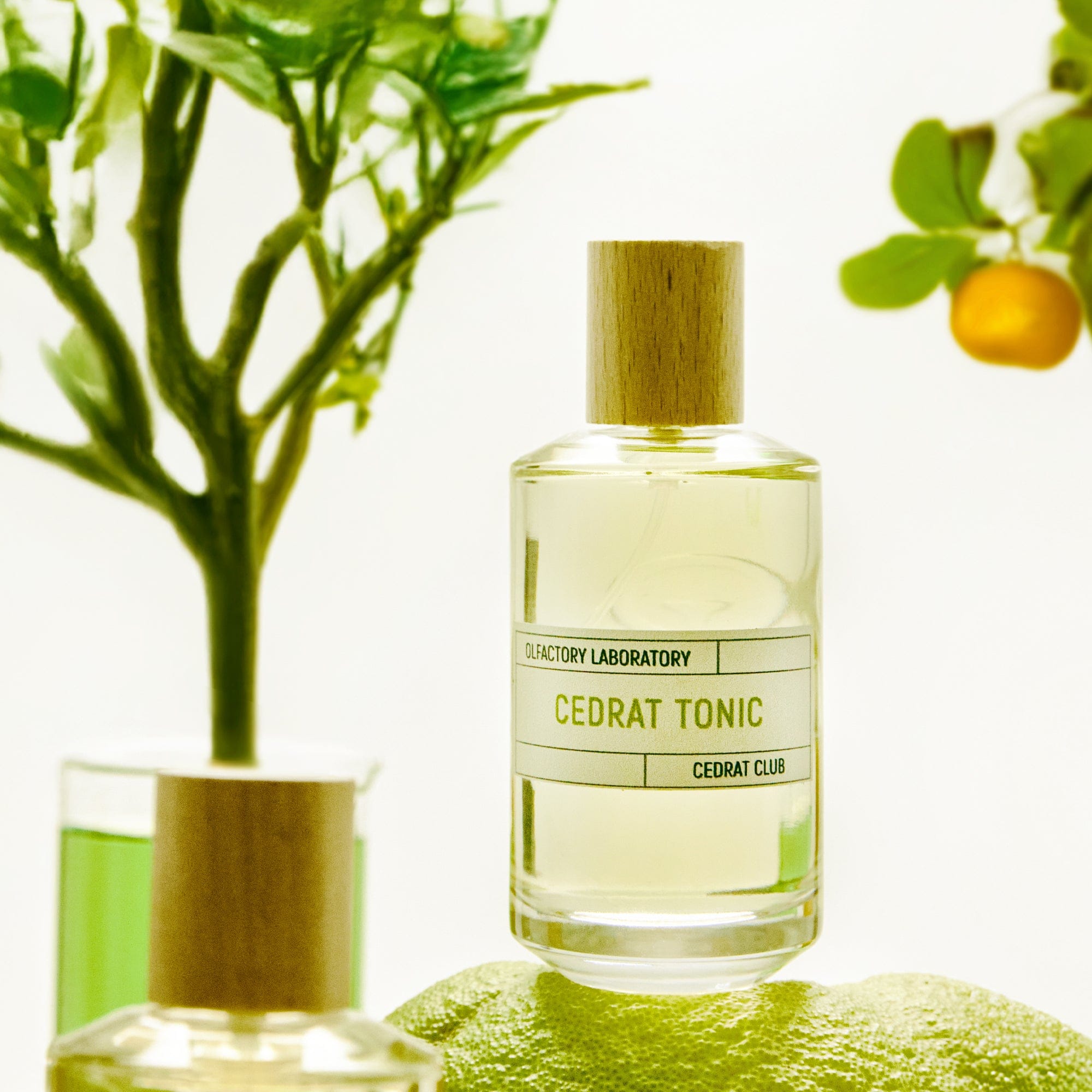 Cedrat Tonic Eau de Parfum | Liquides Imaginaires