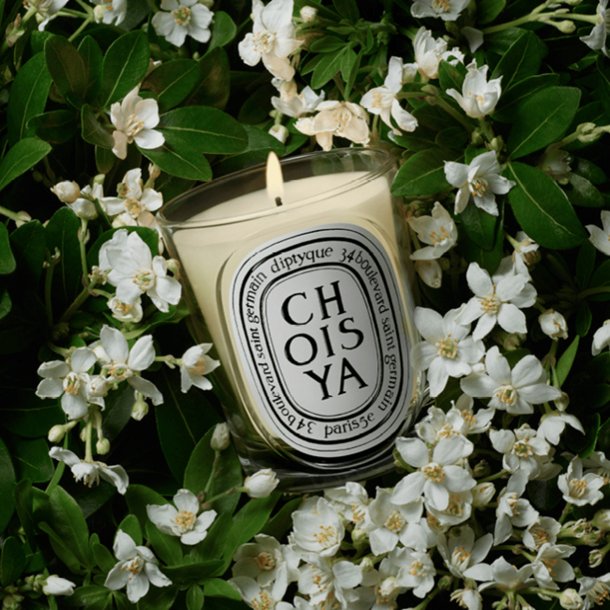 Choisya_Vela_Perfumada_Diptyque_190g_._Descubrela_en_ABANUC