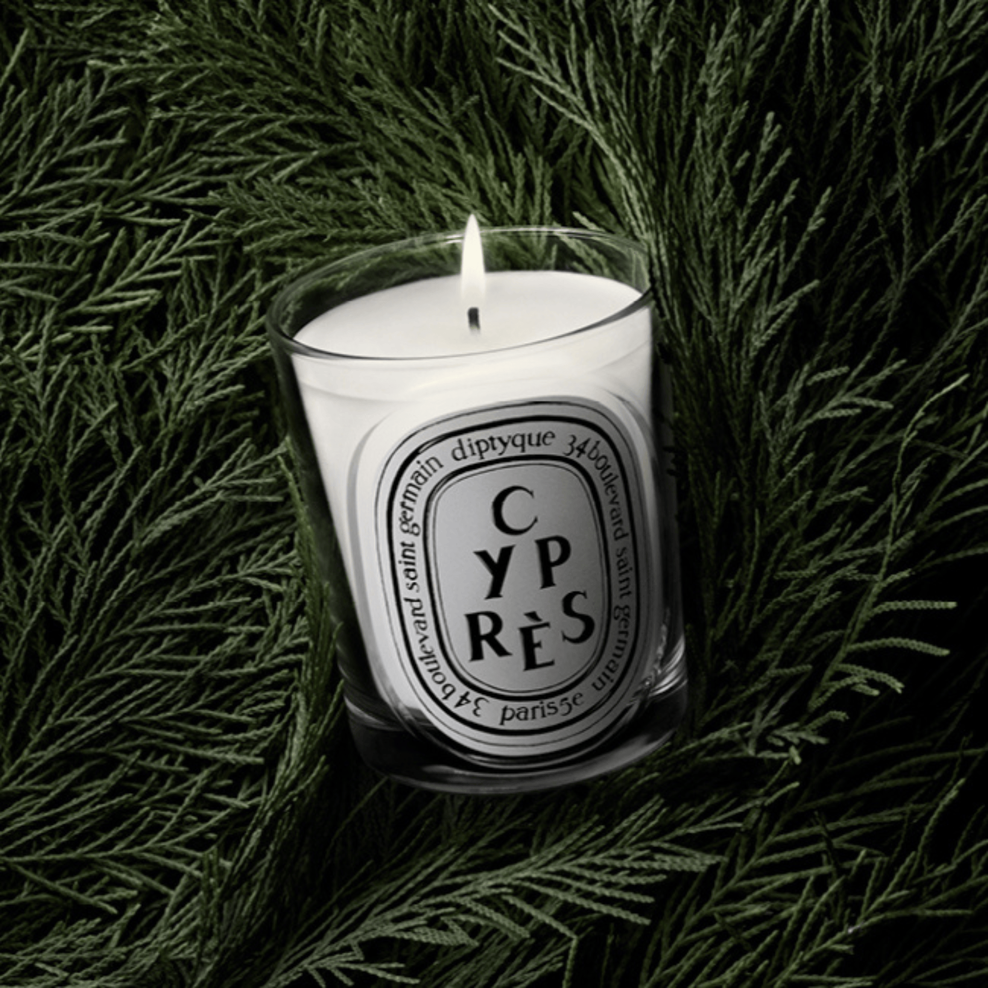 Cyprès Vela perfumada | Diptyque