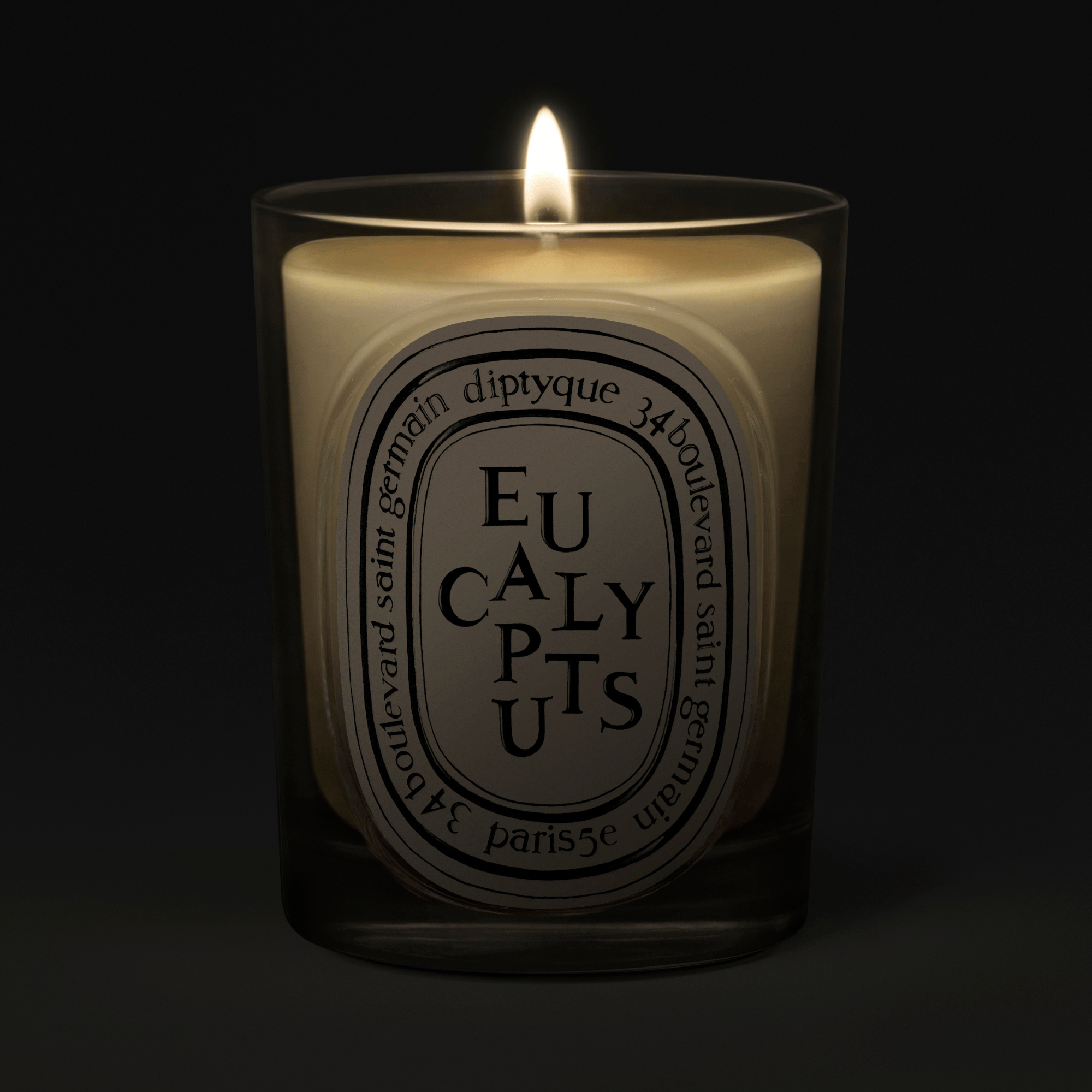 Eucalyptus Vela perfumada | Diptyque