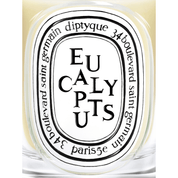 Eucalyptus Vela perfumada | Diptyque
