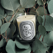 Eucalyptus Vela perfumada | Diptyque