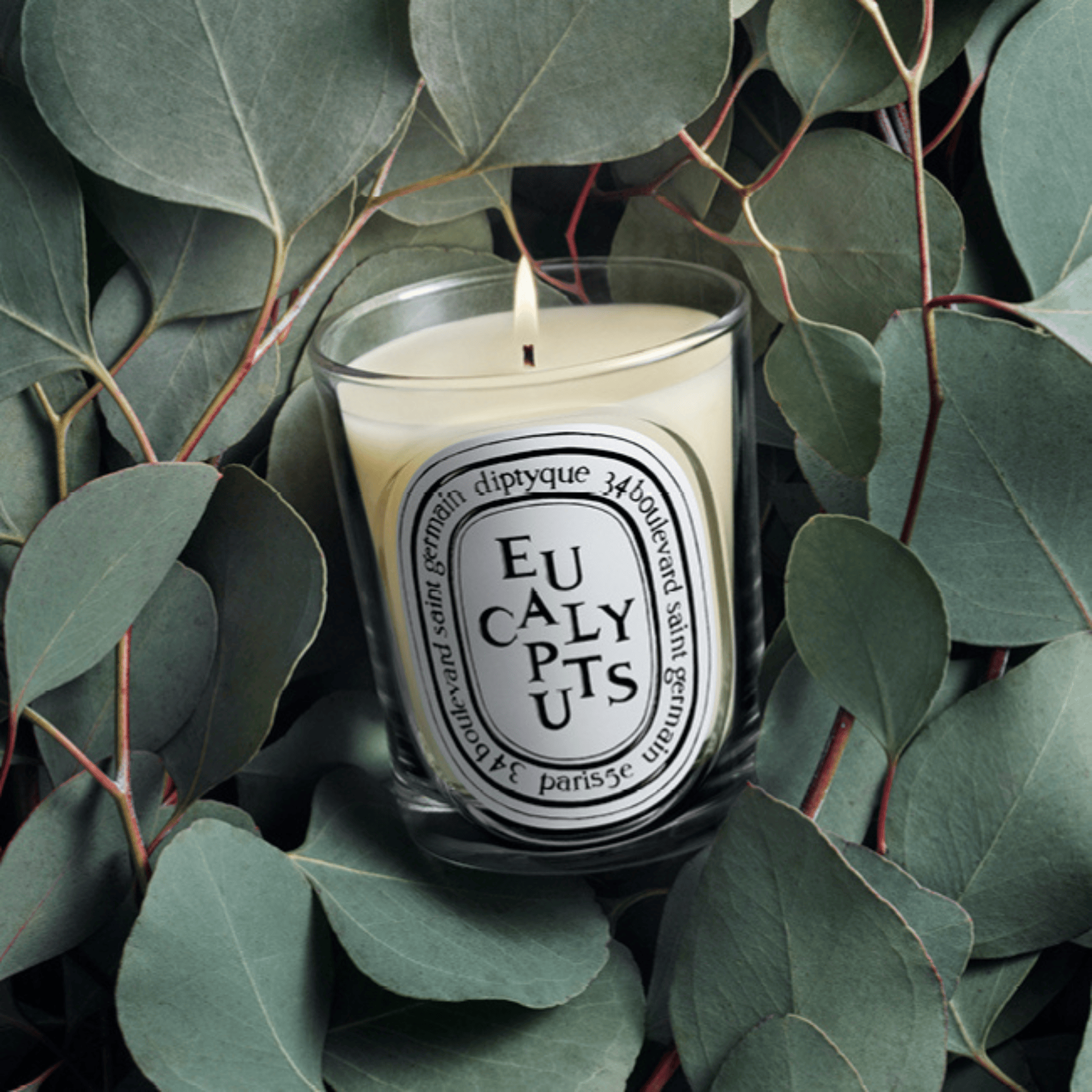 Eucalyptus Vela perfumada | Diptyque