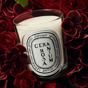 Geranium rosa vela perfumada diptyque 