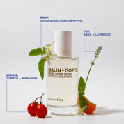 Pomodoro Spray domestico MALIN+GOETZ Spruzzatore per interni