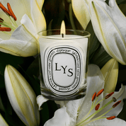 Lys Vela perfumada |  Diptyque - ABANUC
