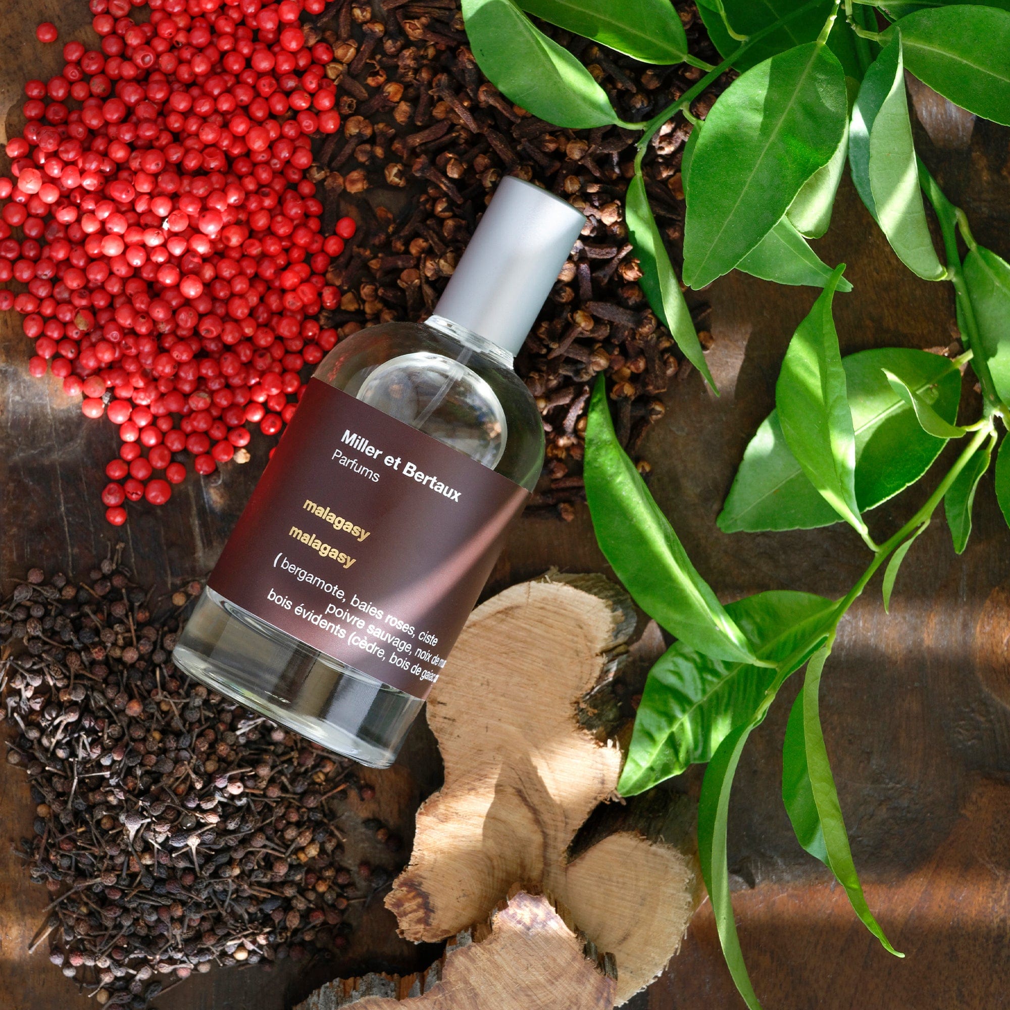 Malagasy Miller et Bertaux Eau de Parfum - ABANUC