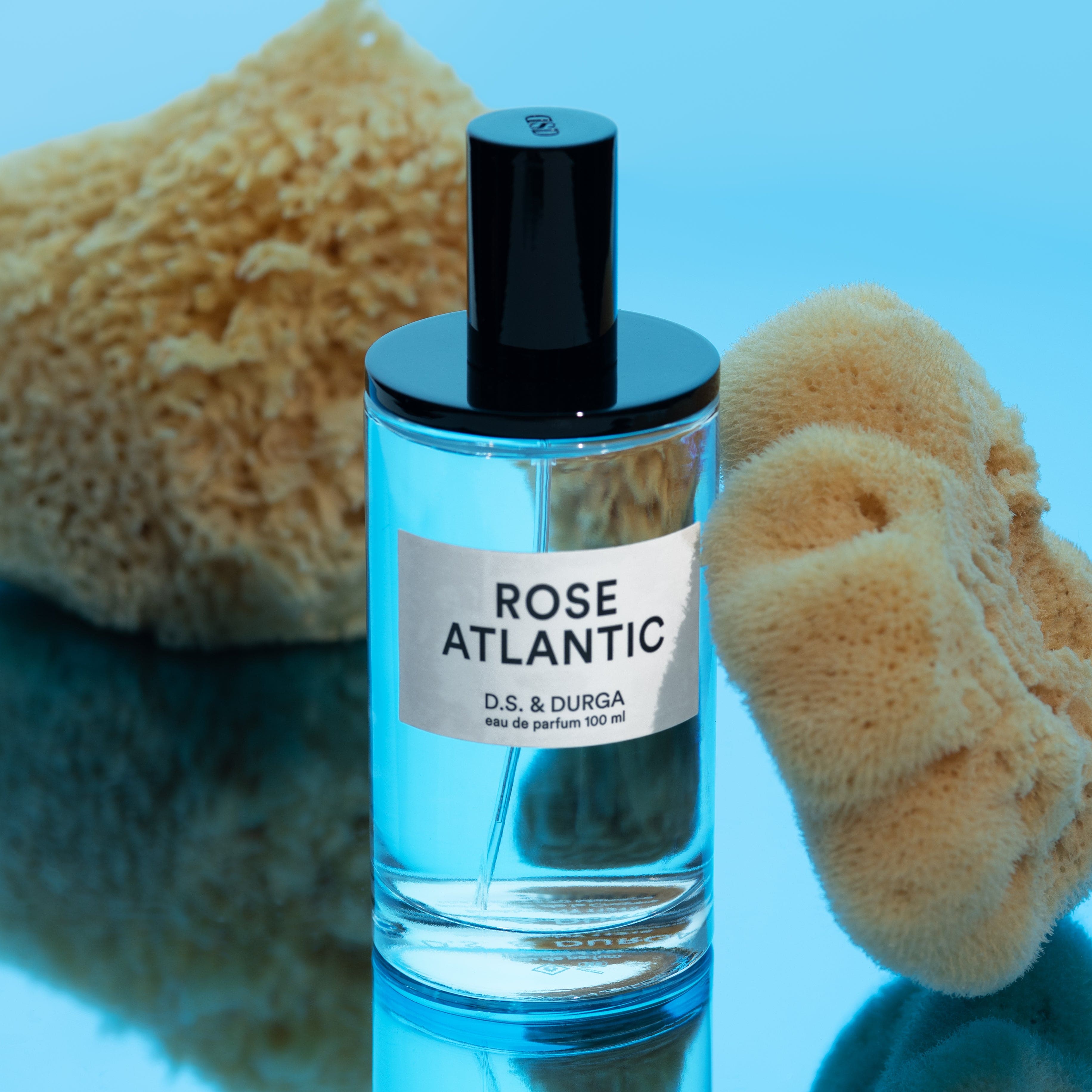 ROSE ATLANTIC EDP