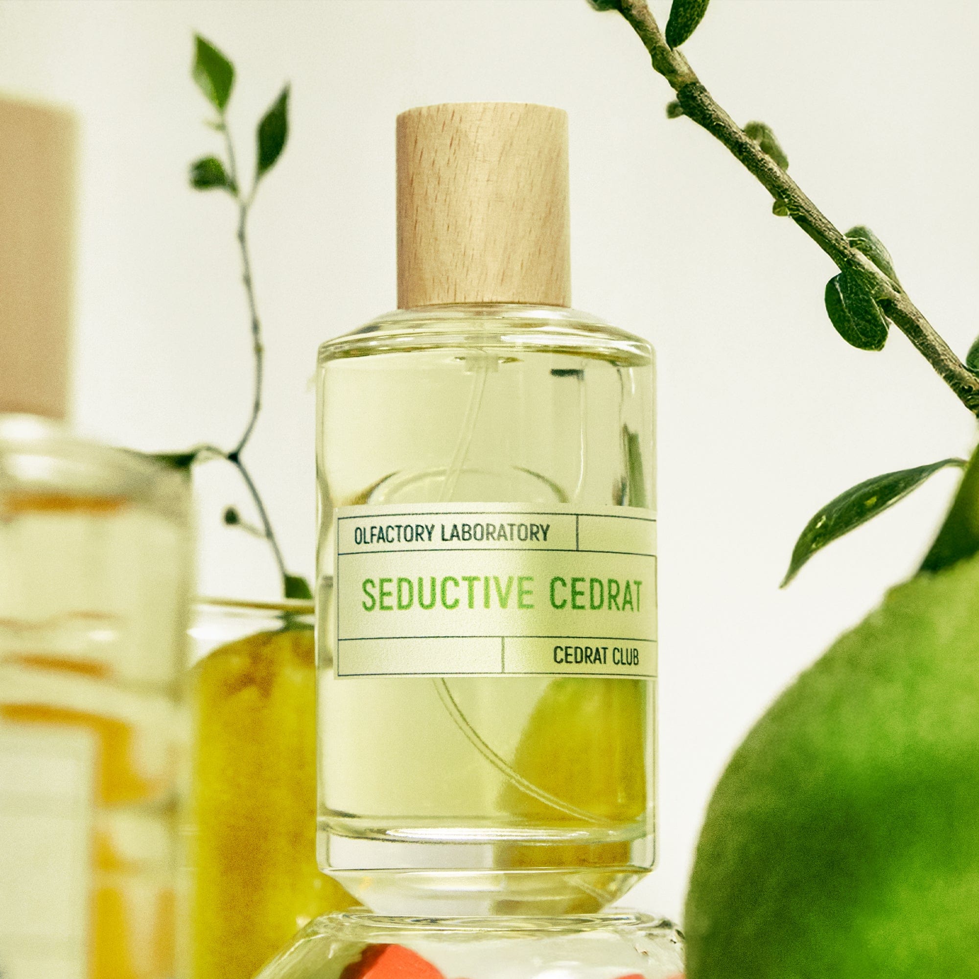 Seductive Cedrat LIQUIDES IMAGINAIRES Eau de parfum