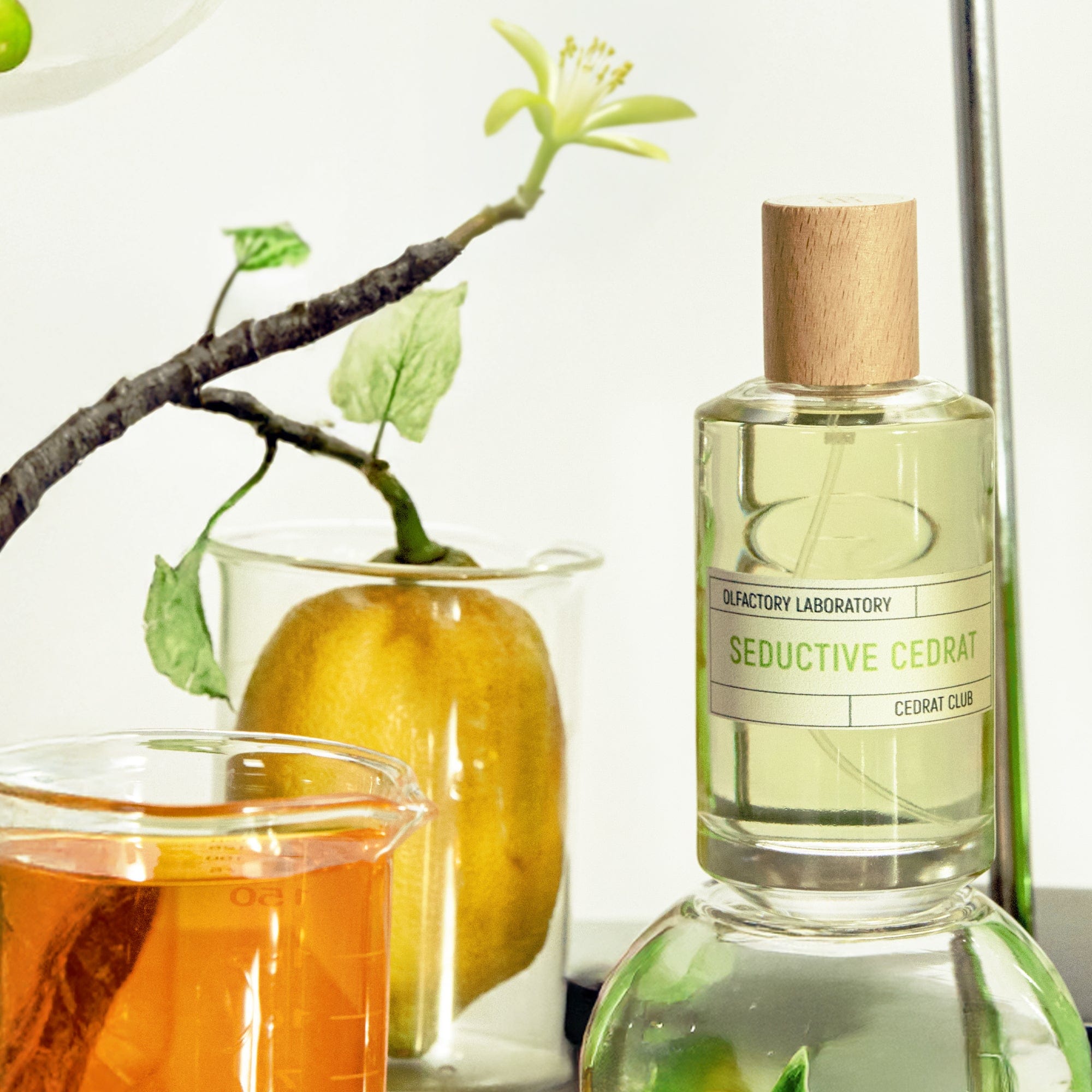 LIQUIDES IMAGINAIRES Seductive Cedrat - Eau de Parfum