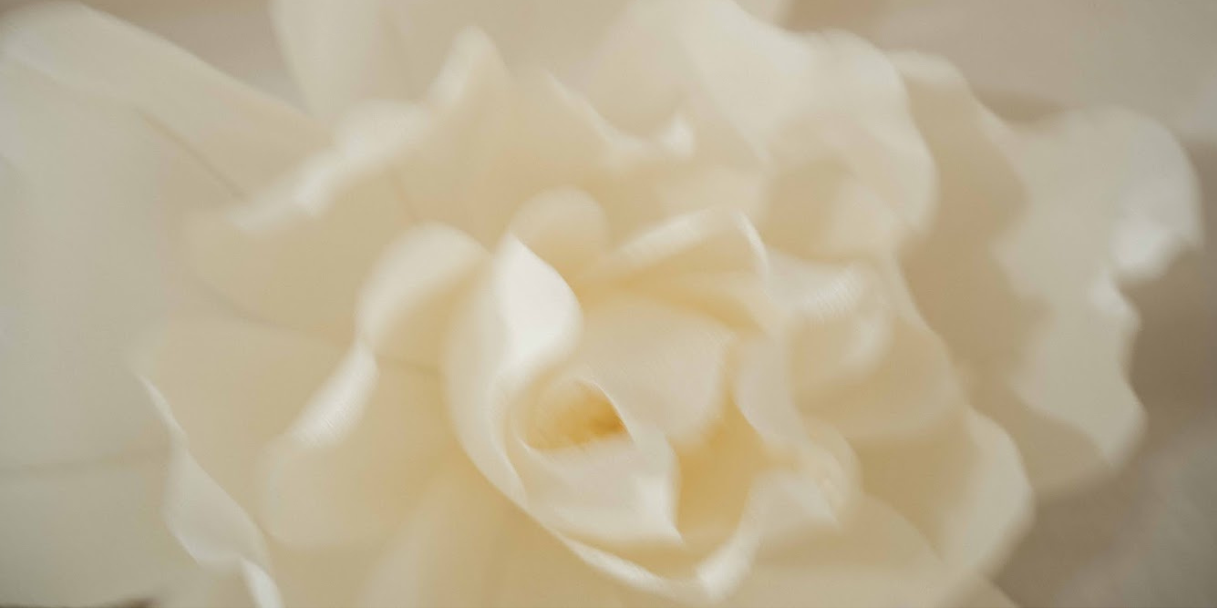 Shopify_Banner_ABANUC.COM_4.png
