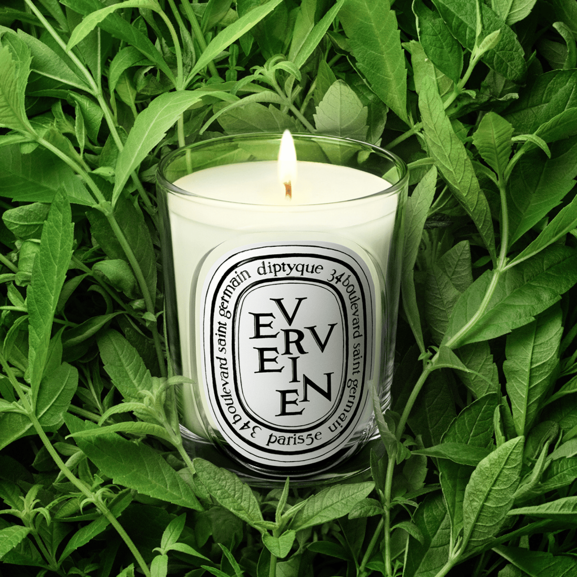 Verveine Vela perfumada | Diptyque