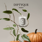 diptyque-citrouille-vela-calabaza-edicion-limitada-abanuc.jpg