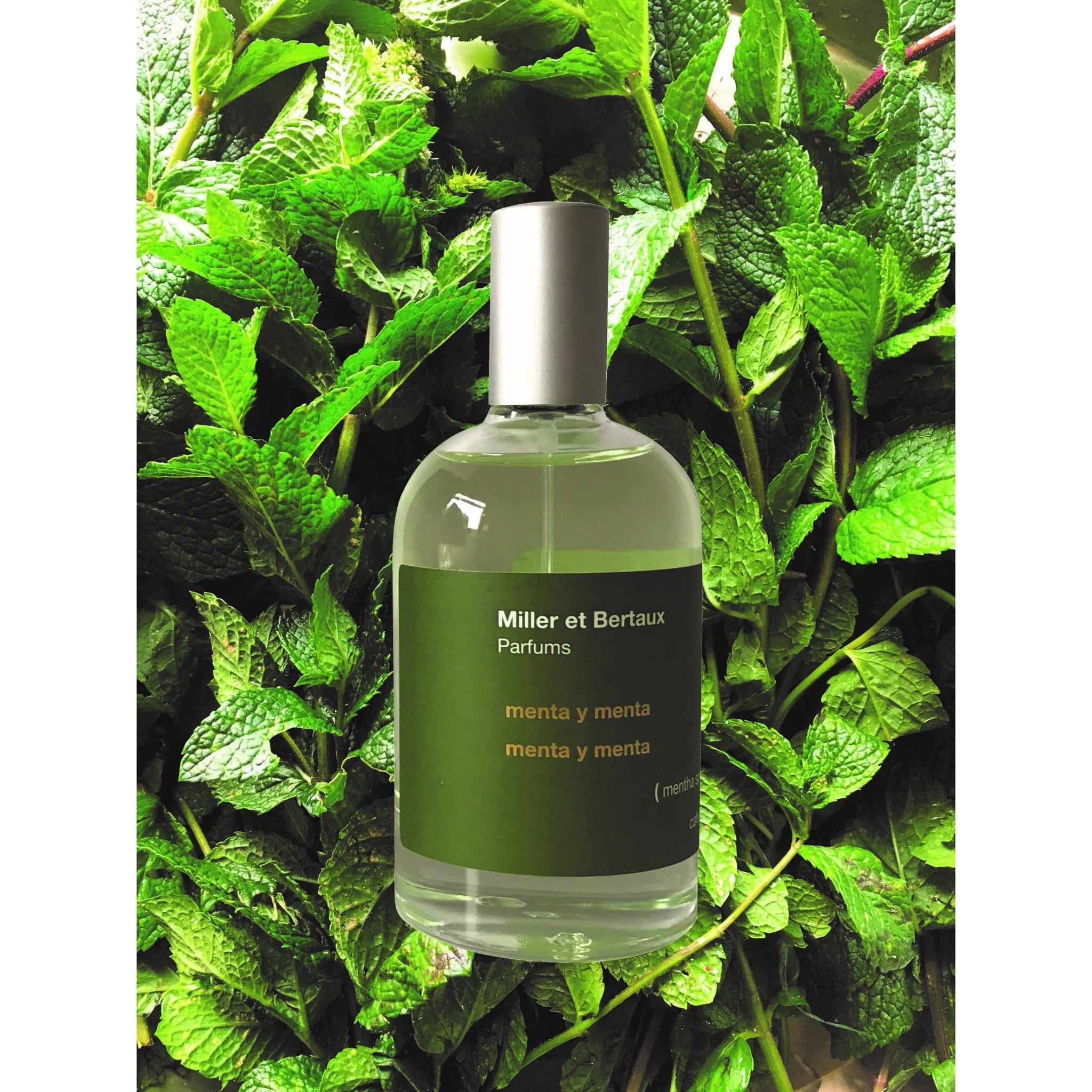 Miller et Bertaux mint and peppermint - Eau de Parfum